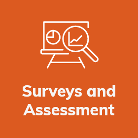 icon_surveys